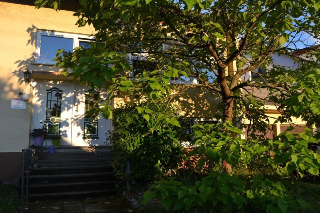 Maison Madlene Frickenhausen  Екстер'єр фото